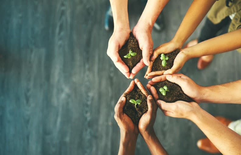 Swap plants with others